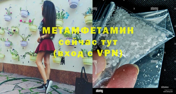 ПСИЛОЦИБИНОВЫЕ ГРИБЫ Михайлов