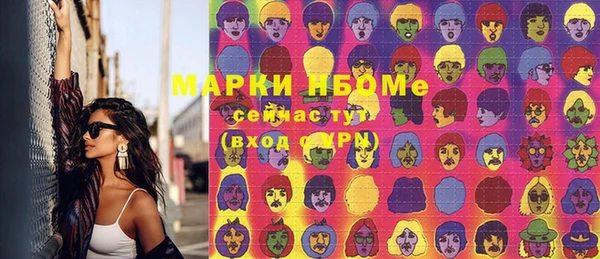 шишки Михайловка