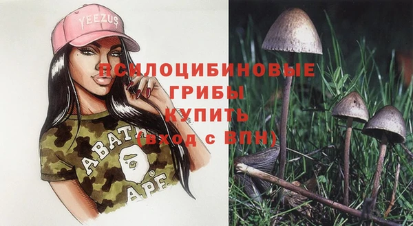 ПСИЛОЦИБИНОВЫЕ ГРИБЫ Михайлов