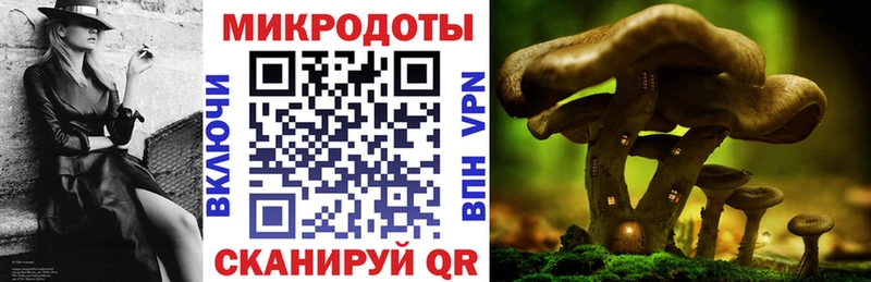 Купить закладки  Струнино  Галлюциногенные грибы GOLDEN TEACHER 