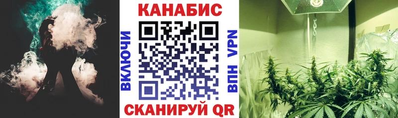 Бошки марихуана Bruce Banner  Купить закладки  Струнино 